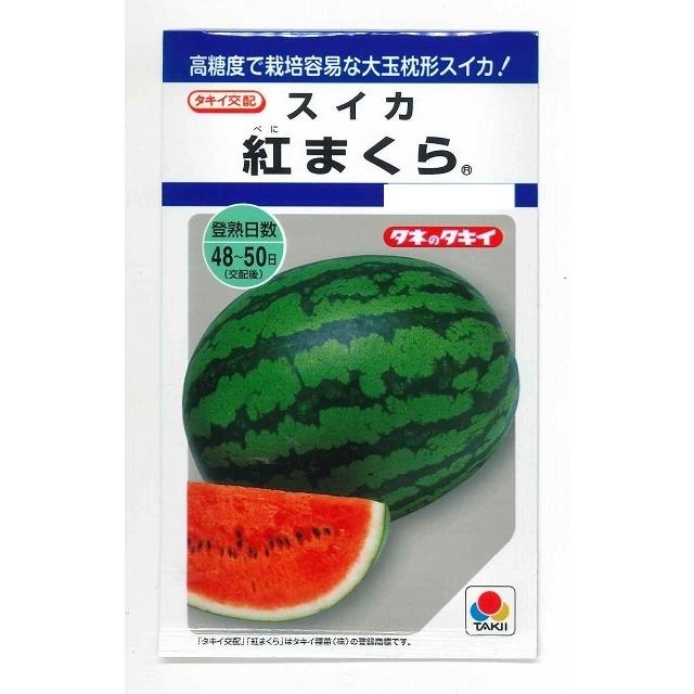 種子 スイカ 紅まくら ＤＦ タキイ交配 8粒 本物品質の 【SALE／55%OFF】