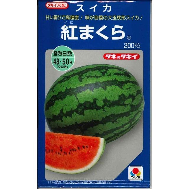 スイカ 紅まくら 200粒 タキイ種苗（株）