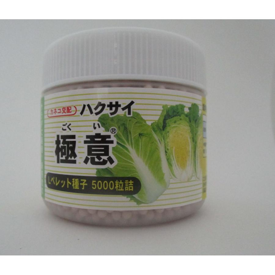 19円 年末年始大決算 白菜 極意 コート5000粒 カネコ交配