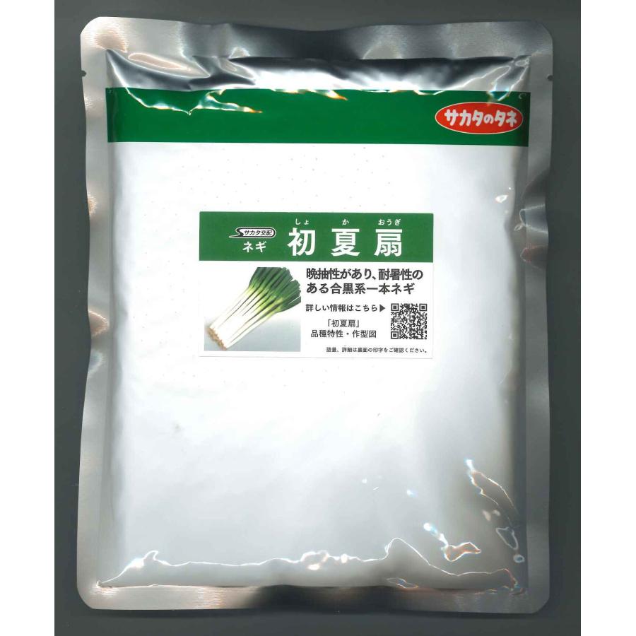 サカタのタネ（サカタノタネ） ねぎ 初夏扇 ペレット種子 6000粒 （株