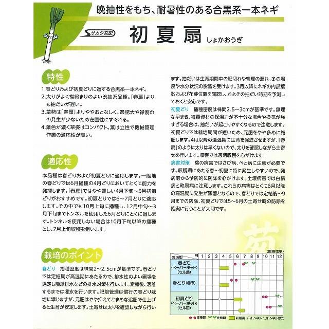 ねぎ 初夏扇　ペレット種子　6000粒　（株）サカタのタネ｜green-loft｜02