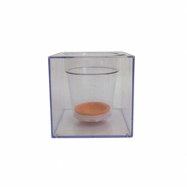 お手入れ簡単 10個セット 水やりのタイミングが分かる イージーポット 底面給水Crystal POT-G