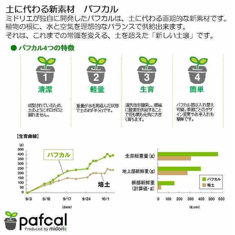 ミドリエ デザイン パフカルマット フレーム専用 交換マット Pafcal 土を使わない 壁掛け 観葉植物 Pafcalmat Frame グリーンプラネット 通販 Yahoo ショッピング