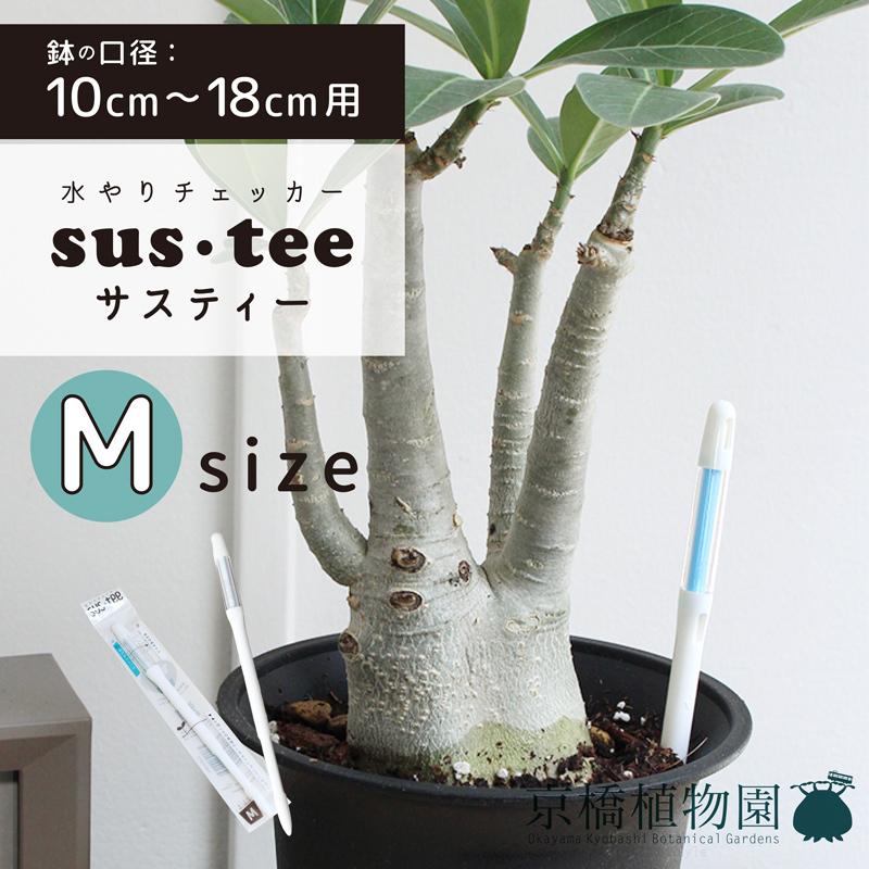 在庫一掃売り切りセール 水やりチェッカー Sustee サスティー Mサイズ 水分計