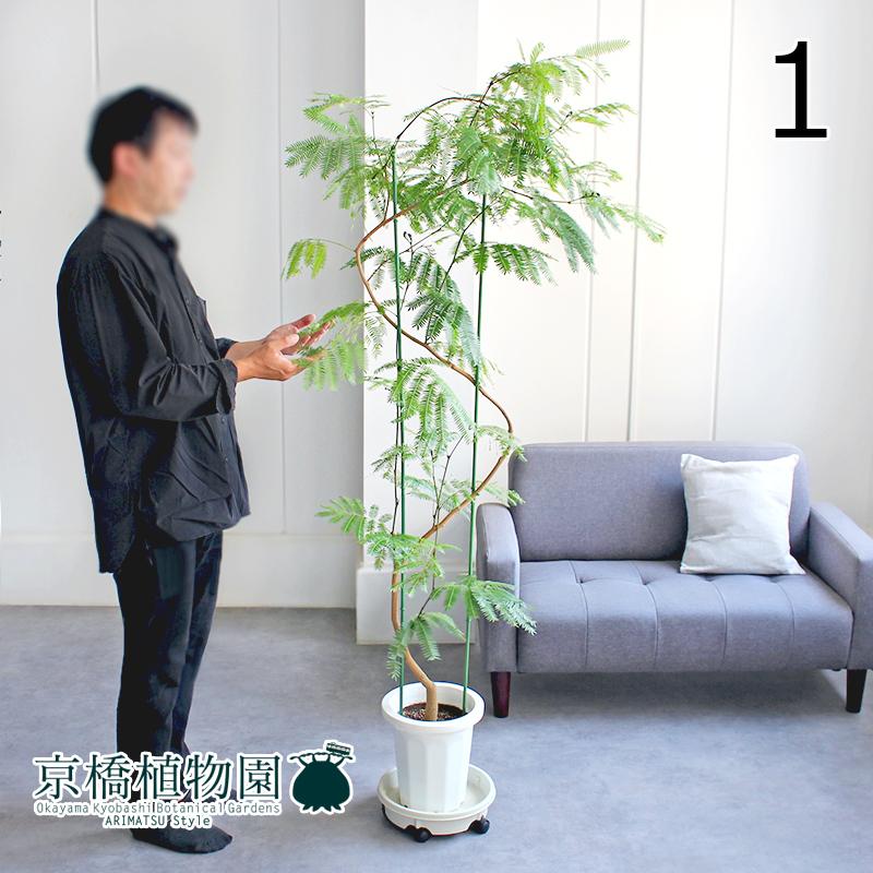 エバーフレッシュ 2m 曲がり