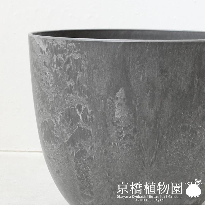 現品】コウモリラン/ビカクシダ・ビフルカツム 7号 アートストーン鉢 