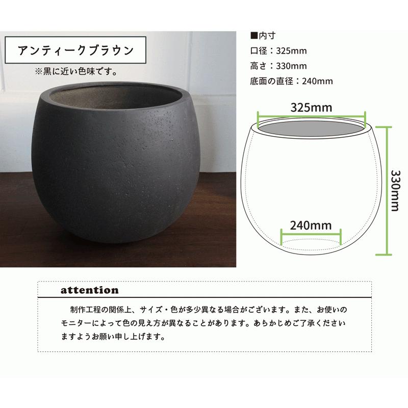 アガベ・ベネズエラ 10号【バルーン鉢カバー付き/アンティークブラウン