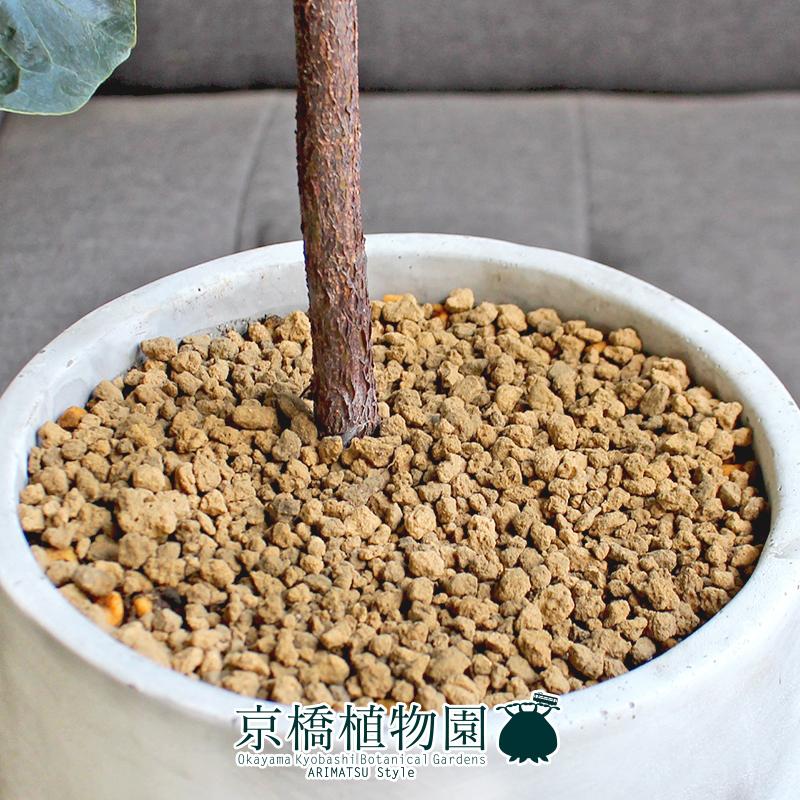 値引交渉歓迎】【世界限定400本】ケン オクヤマ☆カーボン系眼鏡1888