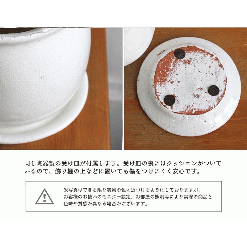 ステララウンド：Sサイズ/陶器鉢】フランスゴム 曲がり【受け皿付】pot