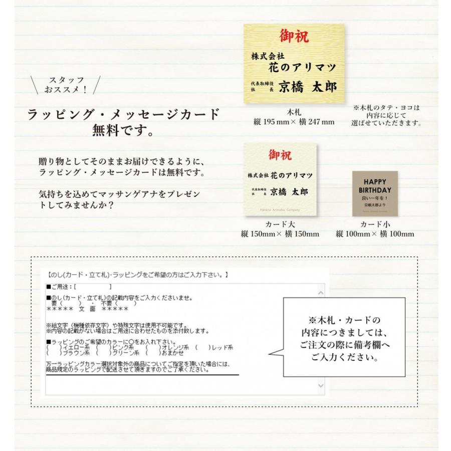 ハートリーフ ハートリーフ ウンベラータ 8号 セラアート鉢 受け皿付 Agt 17 花のアリマツ Yahoo 店 通販 Yahoo ショッピング