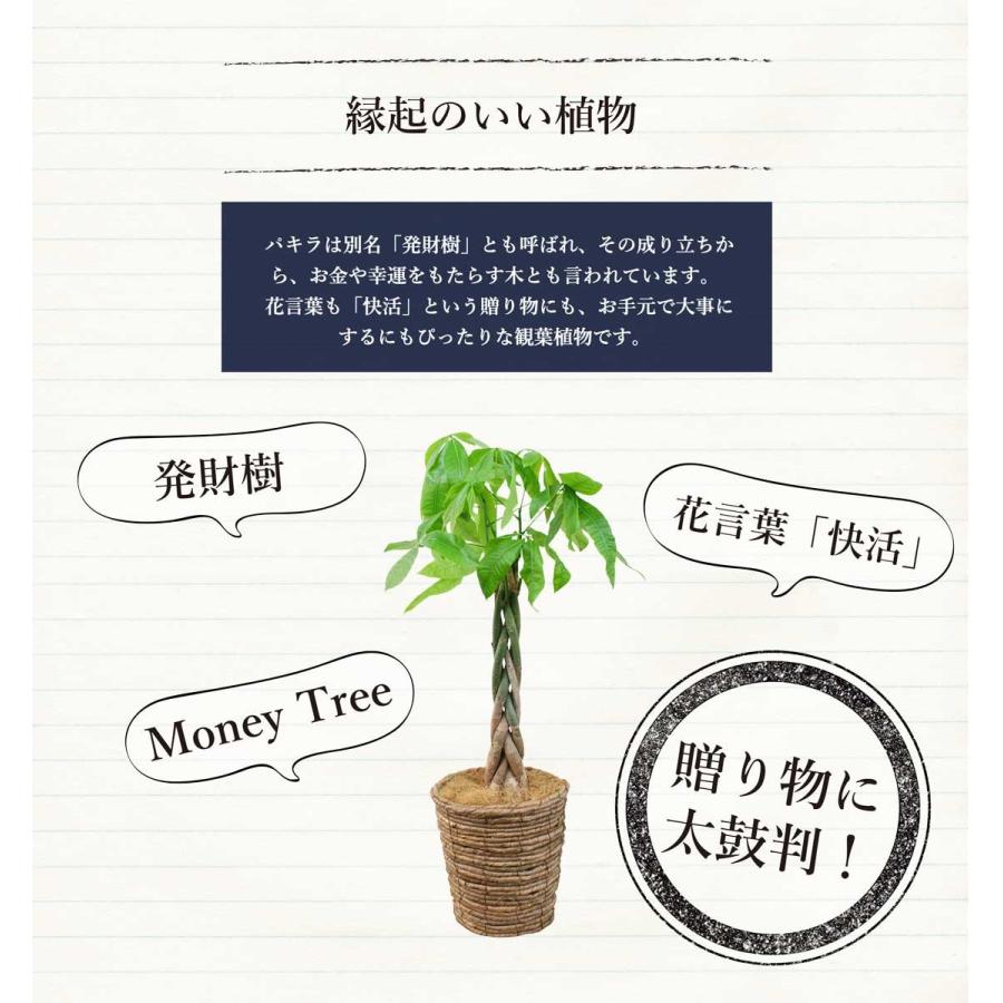 パキラさま専用 光触媒 光の楽園 パキラ1.25m【インテリア フェイクグリーン 人工観葉