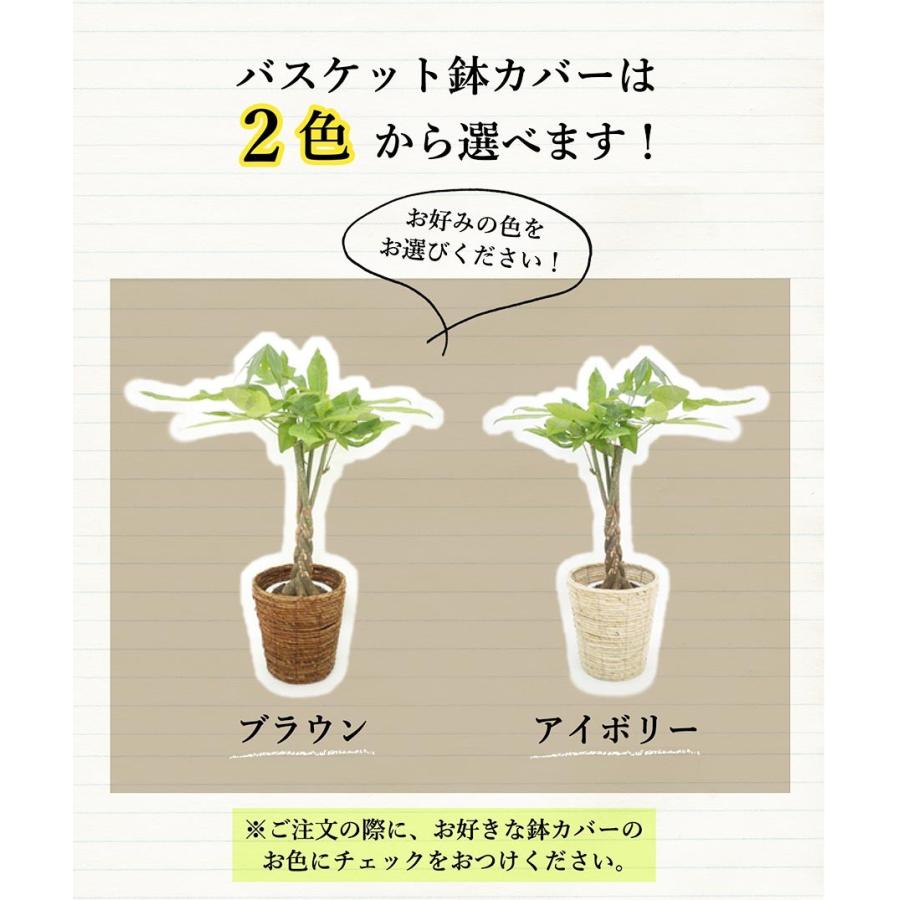 パキラさま専用 光触媒 光の楽園 パキラ1.25m【インテリア フェイクグリーン 人工観葉