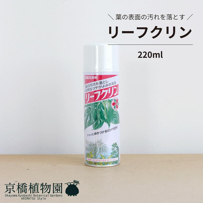 セール 登場から人気沸騰 葉面洗浄剤 リーフクリン 2ml 住友化学園芸 スプレー つや出し 汚れ落とし