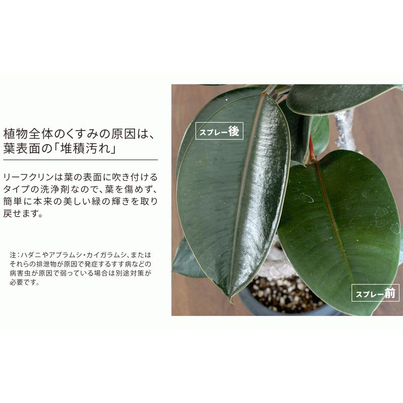 葉面洗浄剤】リーフクリン/220ml【住友化学園芸】【スプレー