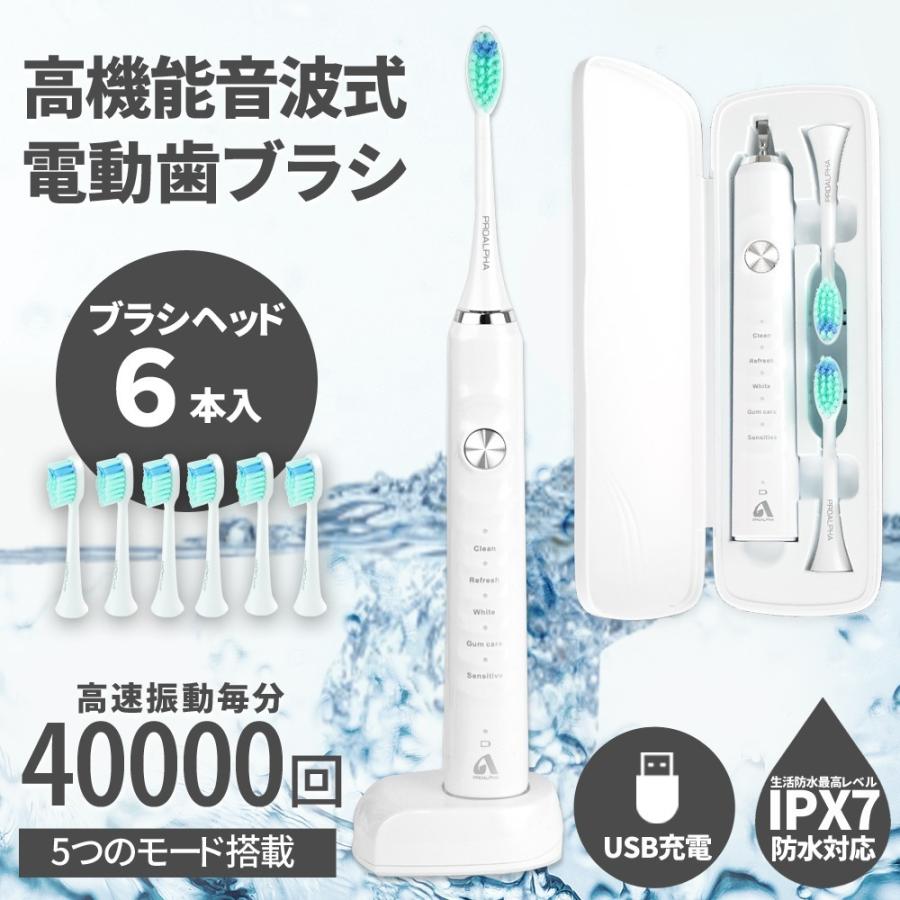 電動歯ブラシ 歯ブラシ ハブラシ 音波歯ブラシ ソニック USB充電式 IPX７防水 5つのモード 携帯便利 電動歯磨き オートタイマー機能搭載  日本語説明書付