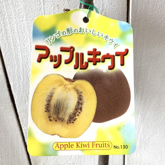 キウイ 苗木 アップルキウイ 黄実メス 12cmポット苗 キウイ 苗 キウイフルーツ Y Kfaprkui 苗通販店 ぐりーんべりぃ 通販 Yahoo ショッピング
