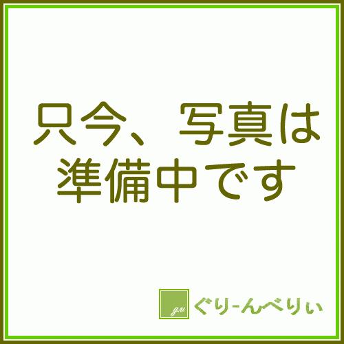 香酸柑橘 苗木 選抜カボス 大分1号 15cmポット苗 香酸柑橘 苗｜green-very