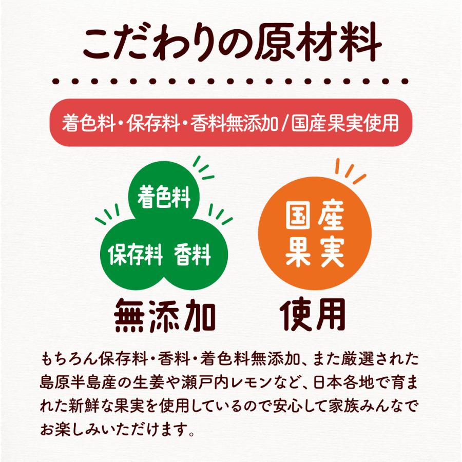 プチベジ クラフトシロップ ジンジャーシロップ クラフトコーラ レモネードベース 選べる3種類 食物繊維 オリゴ糖 無添加 国産果実 生姜 しょうが湯 | プチベジ | 11