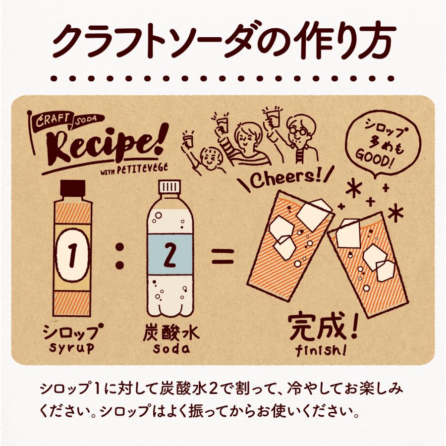 プチベジ クラフトシロップ ジンジャーシロップ クラフトコーラ レモネードベース 選べる3種類 食物繊維 オリゴ糖 無添加 国産果実 生姜 しょうが湯 | プチベジ | 12