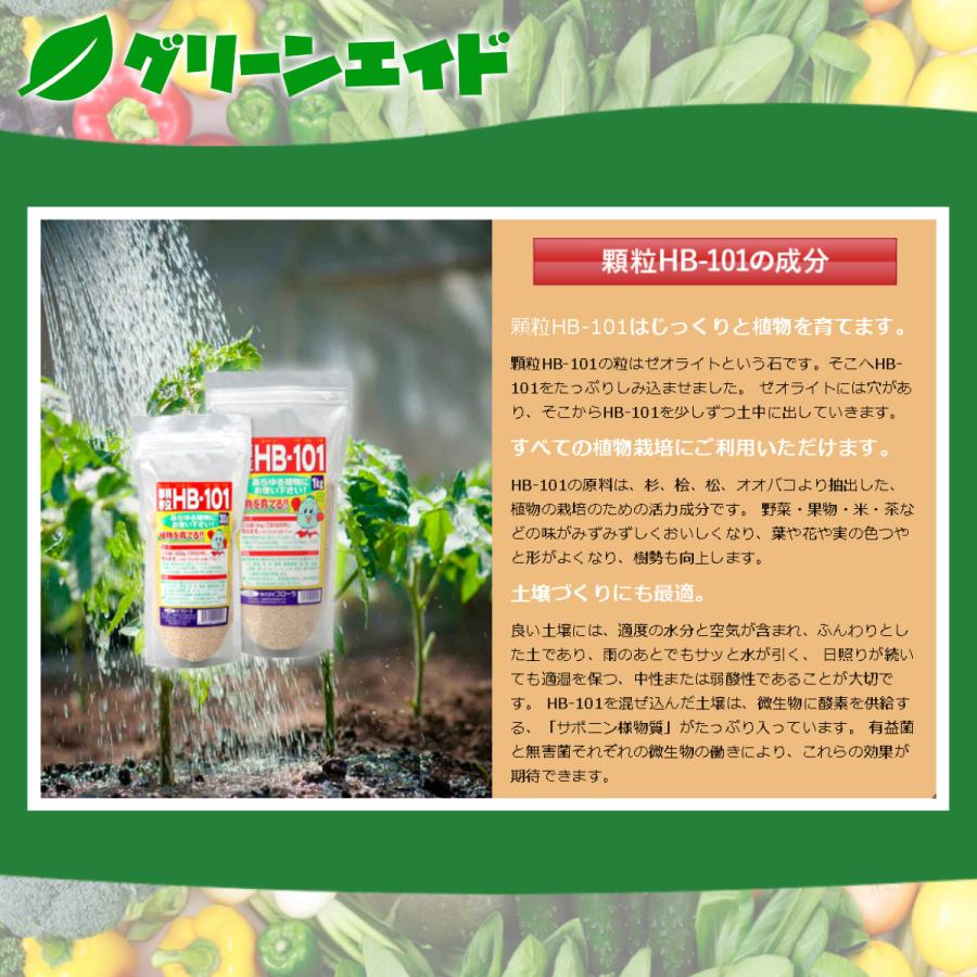 天然植物活力剤 顆粒HB-101 300g フローラ 野菜 草花 観葉植物 活力剤 家庭菜園 園芸 ガーデニング |  | 01