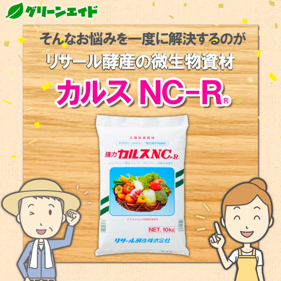 カルスNC-R 硫安セット 各10kg リサール酵産 有機 微生物 野菜 畑作 家庭園芸 農業 農家 もみ殻 雑草 落ち葉 米ぬか 生ごみ 堆肥 |  | 04