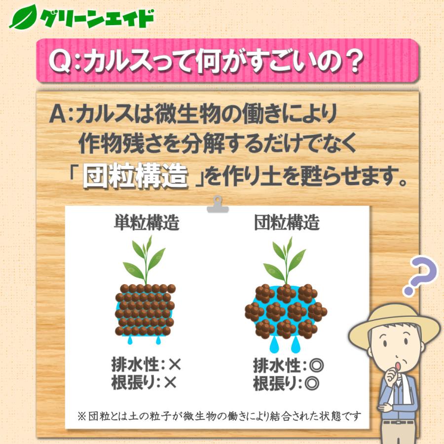 カルスNC-R 硫安セット 各10kg リサール酵産 有機 微生物 野菜 畑作 家庭園芸 農業 農家 もみ殻 雑草 落ち葉 米ぬか 生ごみ 堆肥 |  | 05