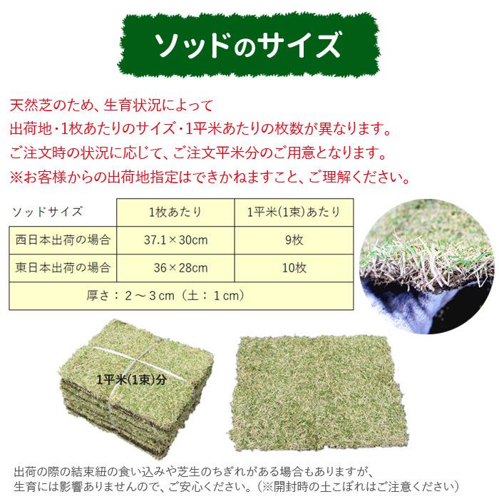 通常便 NITTOSEKKO 高級天然芝 NT22 ソッド 10平米分 天然芝 省管理 高麗芝 改良高麗芝 芝生 芝 品種改良 国産｜greenarts-online｜11