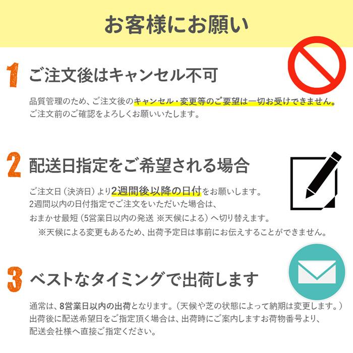 通常便 NITTOSEKKO 高級天然芝 NT22 ソッド 10平米分 天然芝 省管理 高麗芝 改良高麗芝 芝生 芝 品種改良 国産｜greenarts-online｜13