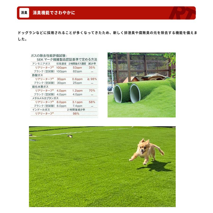人工芝 ロール 1m×10m 10本 100平米 芝丈 25mm パイル 芝生 マット リアル GF リアリーターフ ミドル+ ミドルプラス |  | 10