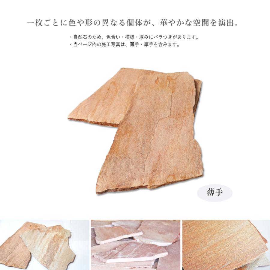 お石のご確認用 ディスポーザブル砕石具 LithoCrush V|製品情報|オリンパス医療