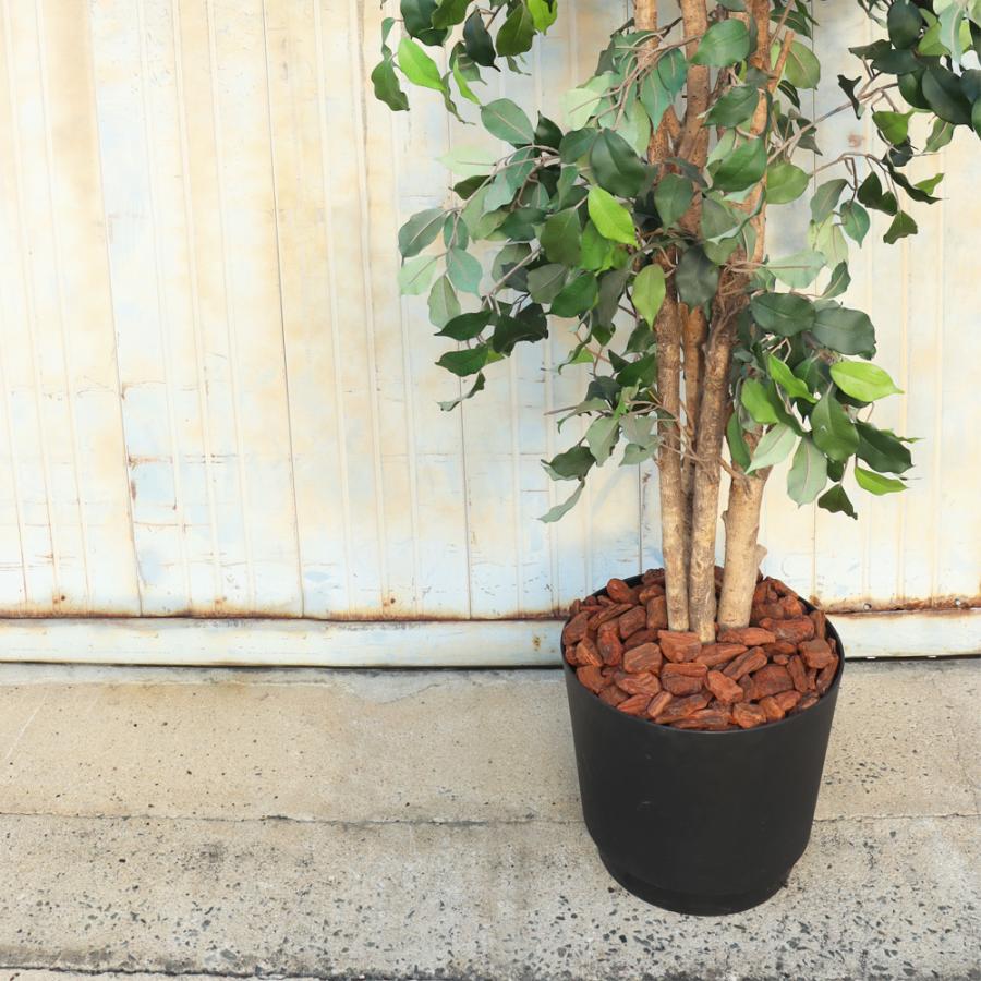 雑草 METALLIC SEREIS from #MEXICO66SD ロープロファイルスタイルと