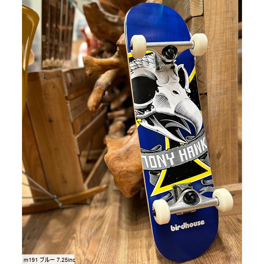 Tony Hawk SKATEBORD CompleteBord/スケートボードコンプリート/キッズ