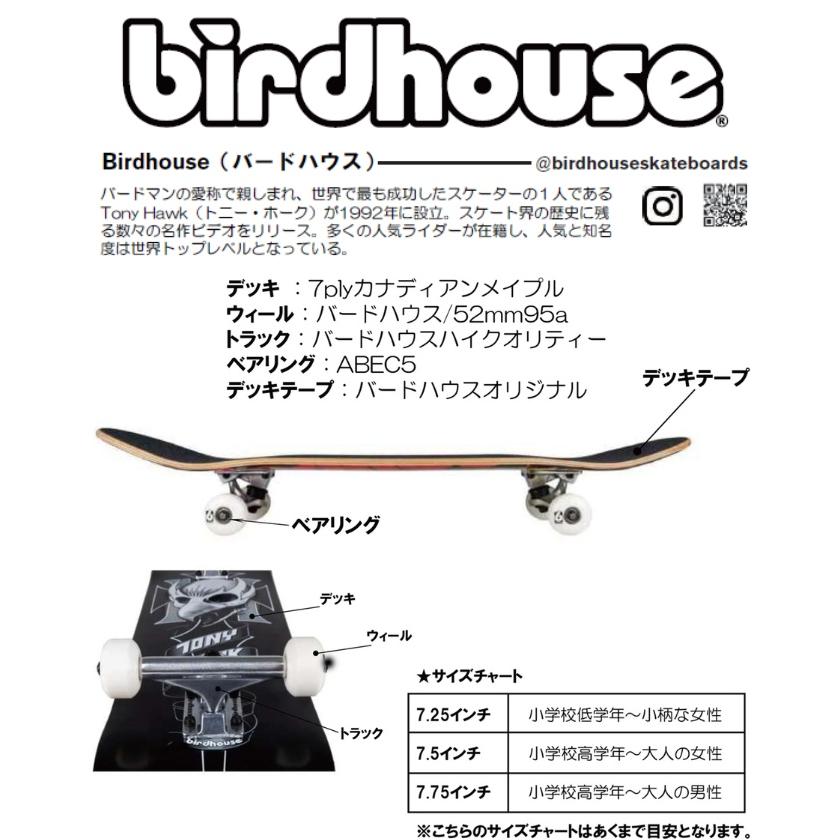 Tony Hawk SKATEBORD CompleteBord/スケートボードコンプリート/キッズ