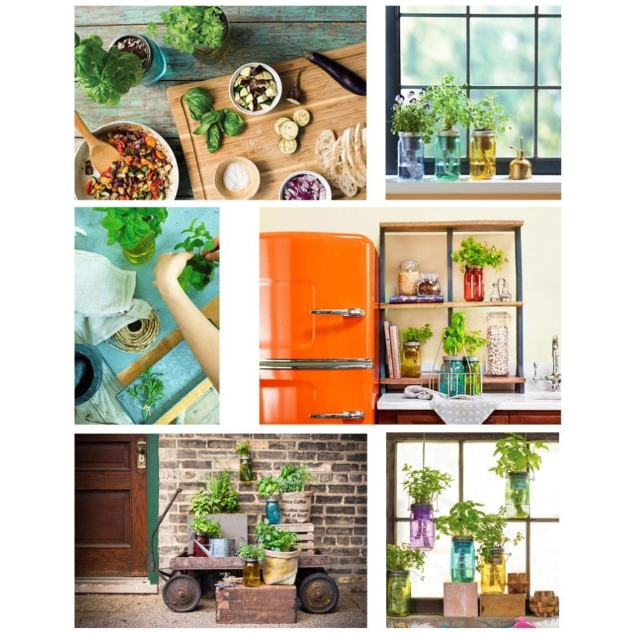 送料無料 3個セット 水耕栽培 キット モダンスプラウト ガーデンジャー バジル ミント パクチー Modern Sprout 種 種子 ギフト 栽培キット ハーブ グリーンキュア 通販 Yahoo ショッピング