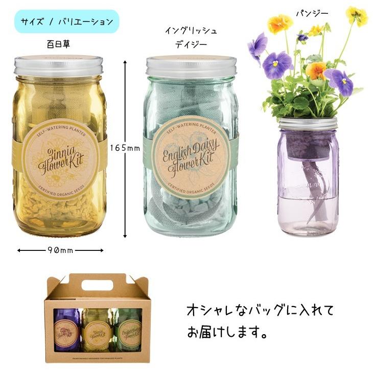 送料無料 3個セット 水耕栽培 キット モダンスプラウト ガーデンジャー パンジー 百日草 イングリッシュデイジー 種 種子 水栽培 ギフト 栽培 キット グリーンキュア 通販 Yahoo ショッピング