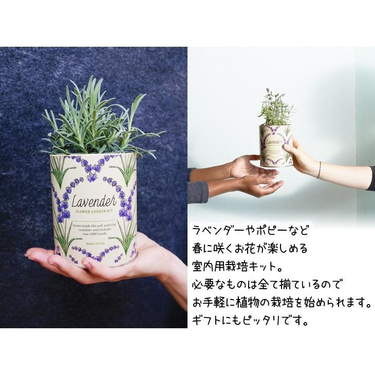 送料無料 栽培 キット モダンスプラウト ワックスド プランター わすれな草 Modern Sprout Waxed Planter 種 種子 ギフト 母の日 栽培キット かわいい グリーンキュア 通販 Yahoo ショッピング