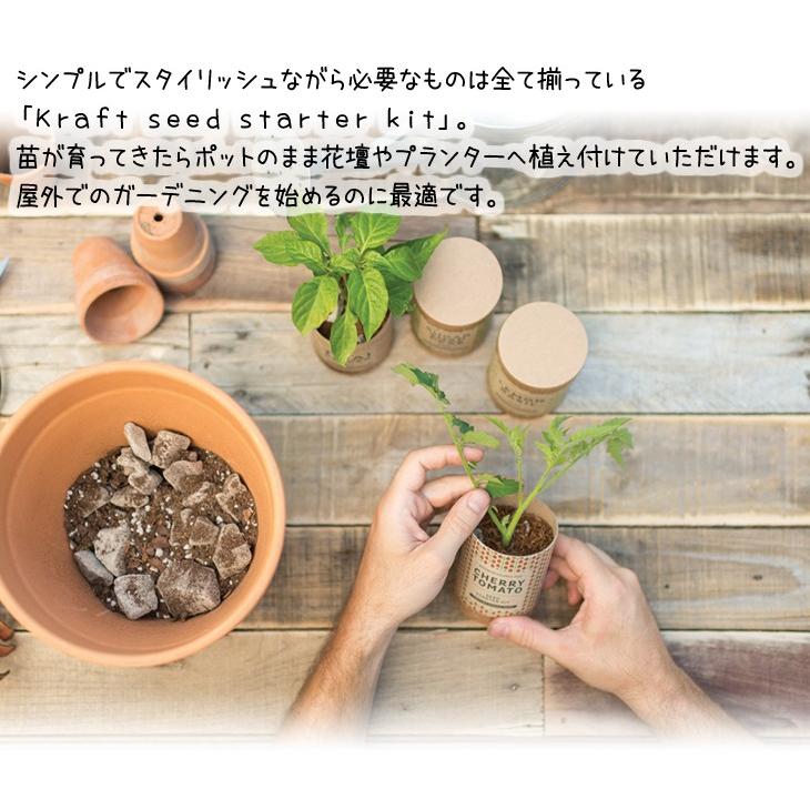 送料無料 3個セット 栽培 キット クラフトシード スターターキット ミント レモンバァーム シナモンバジル 種 種子 ギフト 母の日 栽培キット ハーブ グリーンキュア 通販 Yahoo ショッピング