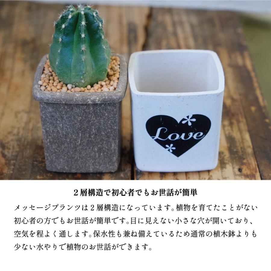 サボテン7個セット（WELCOME） : Green Factory - 通販 - Yahoo