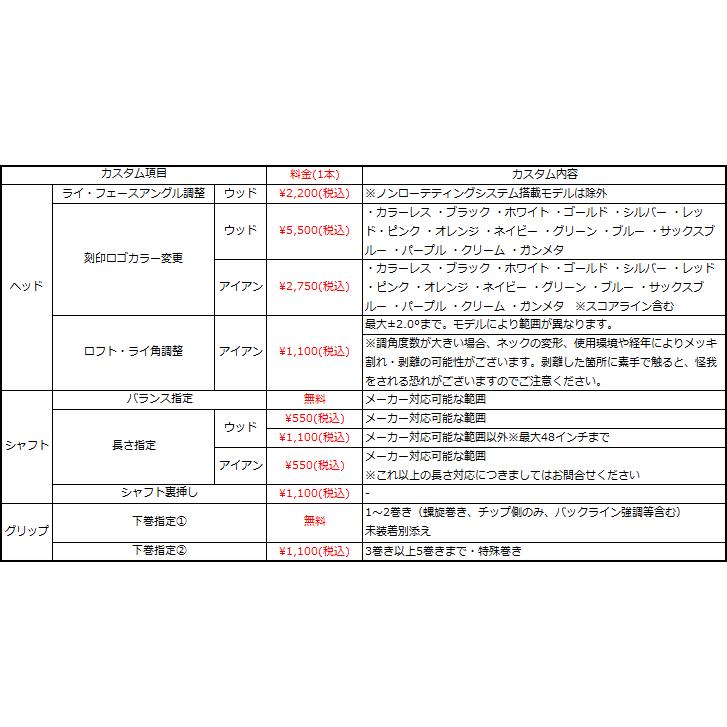 TW757 特注カスタムクラブ 本間ゴルフ ツアーワールド TW757B TW757 特注カスタムクラブ 本間ゴルフ ツアーワールド TW757B