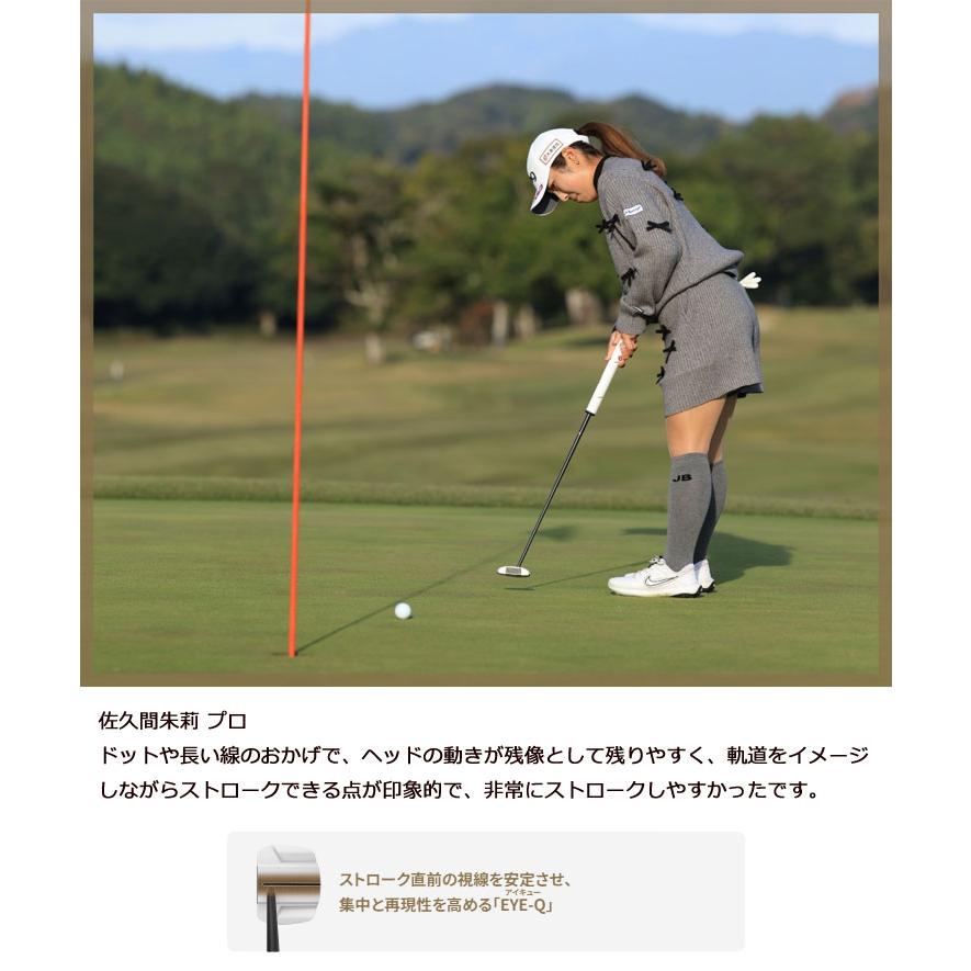 PING（ピン） 25％OFFクーポン対象 SCOTTSDALE TEC ALLY BLUE ONSET