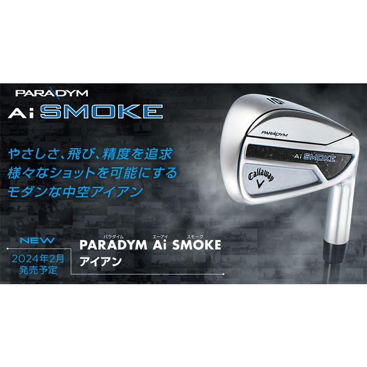 特注カスタムクラブ キャロウェイ PARADYM Ai SMOKE アイアン 5本セット[＃6-PW] ダイナミックゴールド 105 シャフト｜greenfil｜02