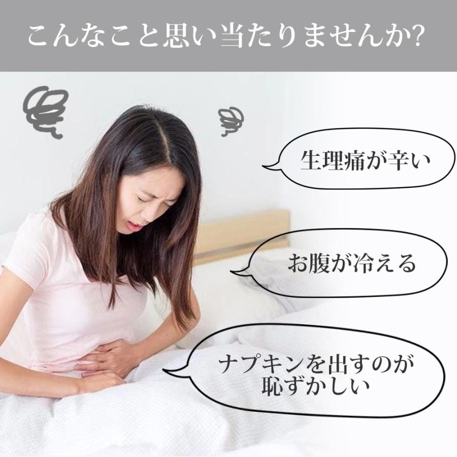 2点セットサニタリーショーツ 吸水ショーツ 生理用 下着パンツ コットン 通気快適 昼用 夜用 吸収 漏れない 安心 ハイウエスト ポケット付 防水 抗菌 防臭 温活 |  | 01