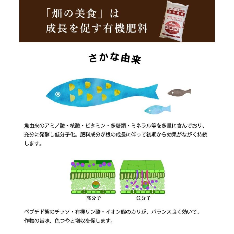 有機肥料 畑の美食 20kg 5袋セ ット 有機JAS適合 発酵肥料 オ