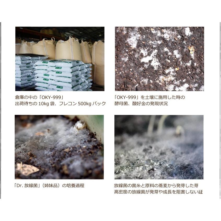 OKY‐999  10kg「有機JAS適合」 連作障害 乳酸菌 放線菌 酵母菌 土づくり ＆ 有機物 分解促進 強力 土壌改良材 ぼかし肥料 アル厶農材 |  | 06