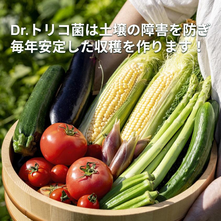 話題沸騰中！Dr.トリコ菌 7kg 10袋セット 有機JAS適合品 トリコデルマ菌　微生物資材　有用微生物　土造り　土壌作り　善玉菌　免疫力 アル厶農材 |  | 04