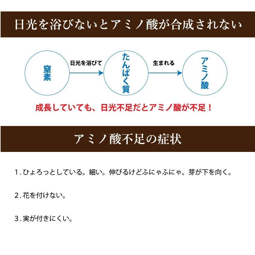 【2箱仕かける】『アルム光（アルムヒカリ）』 10L「有機JAS其れ相応」 漢方即効性アミノ酸原材料