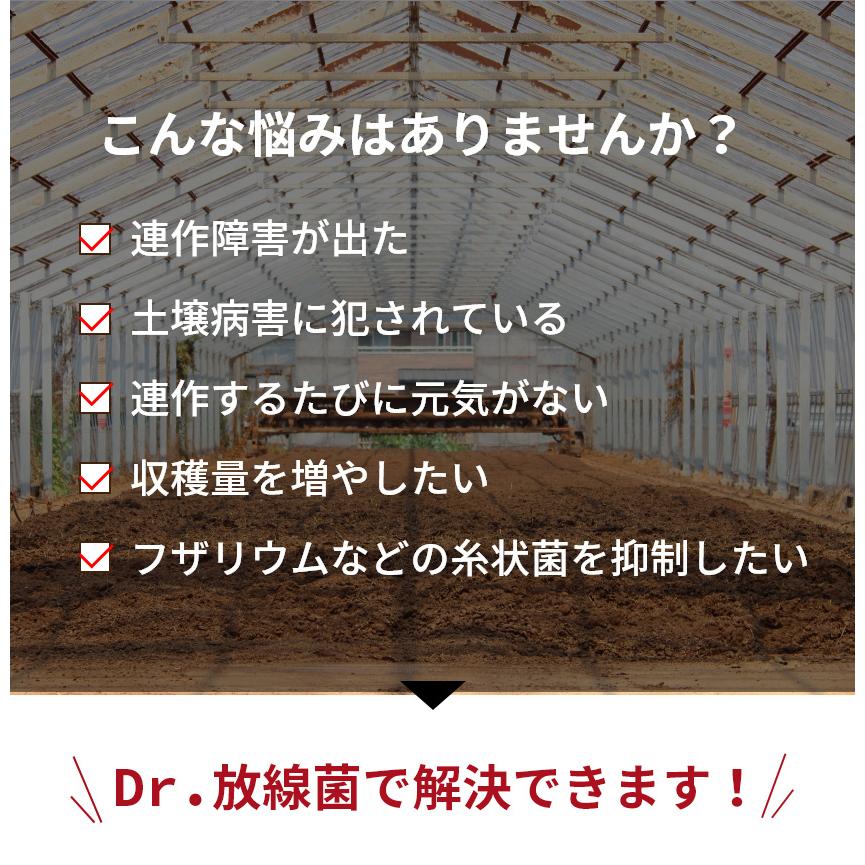 Dr.放線菌（ドクターホウセンキン）7kg 10袋セット 放線菌 高濃度微生物資材（フザリウム菌による土壌病害用) 有機JAS適合 アル厶農材_5