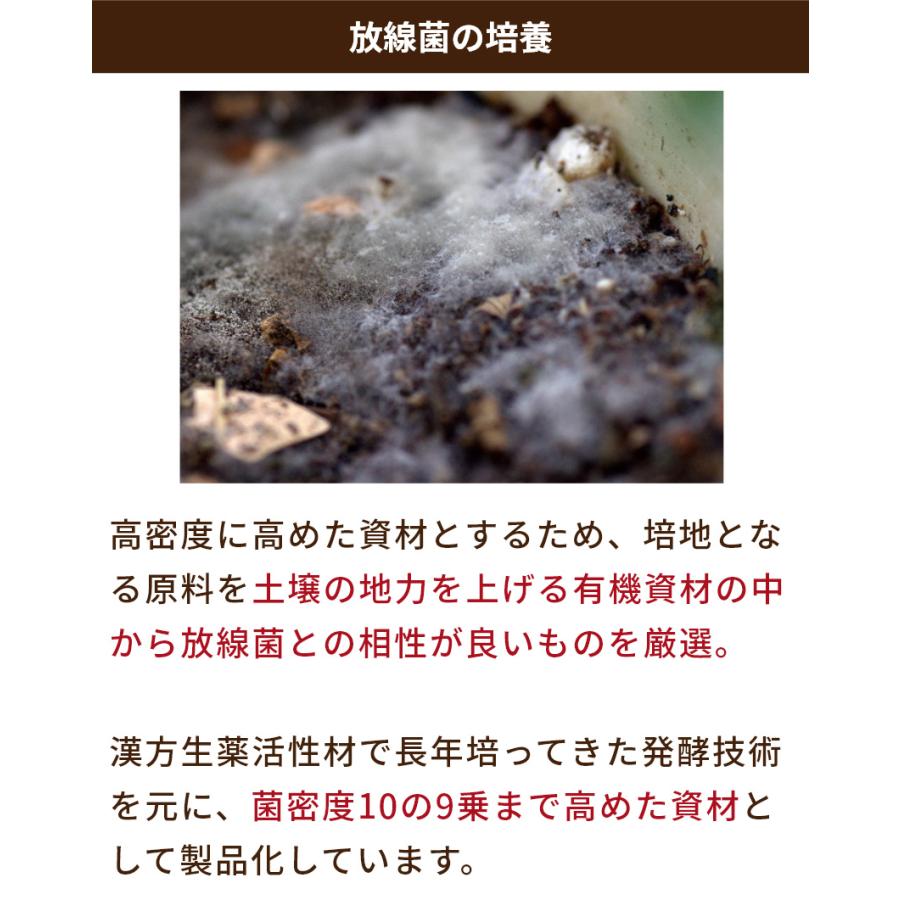 Dr.放線菌（ドクターホウセンキン）7kg 10袋セット 放線菌 高濃度微生物資材（フザリウム菌による土壌病害用) 有機JAS適合 アル厶農材_8