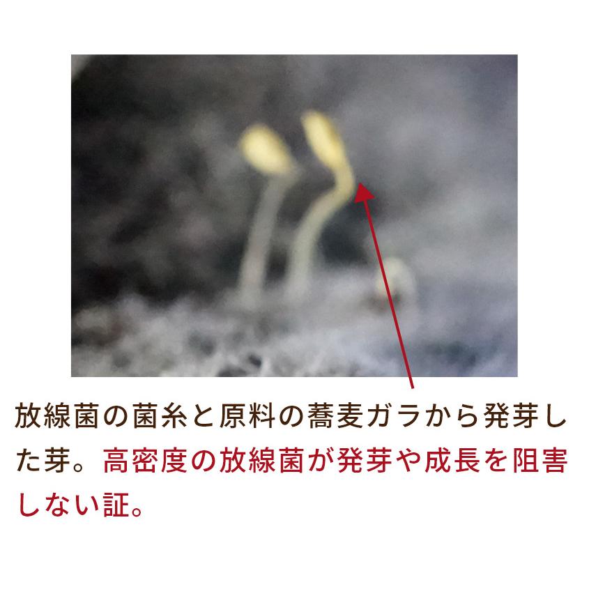Dr.放線菌（ドクターホウセンキン）7kg 10袋セット 放線菌 高濃度微生物資材（フザリウム菌による土壌病害用) 有機JAS適合 アル厶農材_9