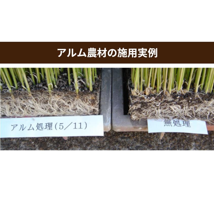 アルム純（アルムジュン）1L 「有機JAS適合」 漢方高濃度活性剤 家庭菜園 活性剤 オーガニック アル厶農材 |  | 05